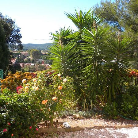 Ecrin De Verdure Sur Le Lavandou - Classement Tourisme 3 Etoiles Kültér fotó