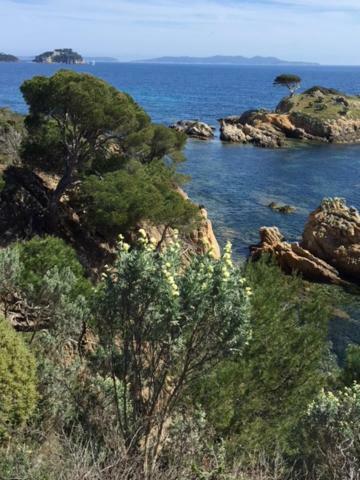 Ecrin De Verdure Sur Le Lavandou - Classement Tourisme 3 Etoiles Kültér fotó